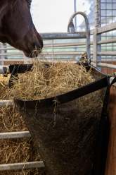 Kentucky Horsewear Hay Bag Corner
